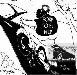 Born to be Mild.JPG