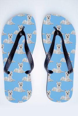 Flip_Flop_Dog_Westhighland_Terrier_Blue_Thongs.jpg