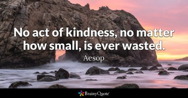 and you have a lot of kindness