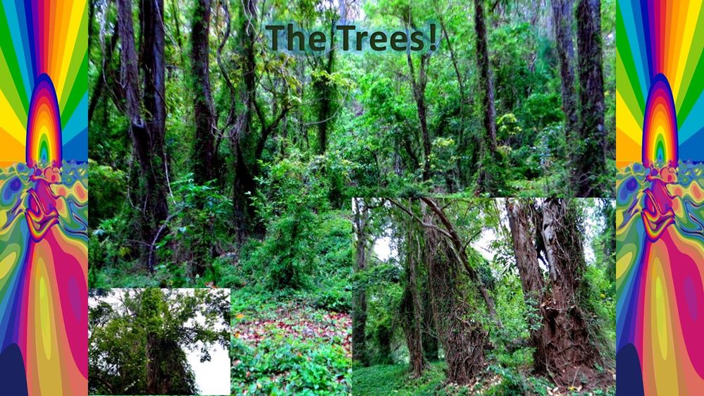 Green Trees Rainbow colours